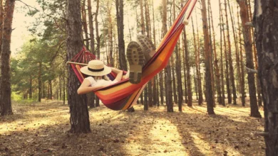 Hammock